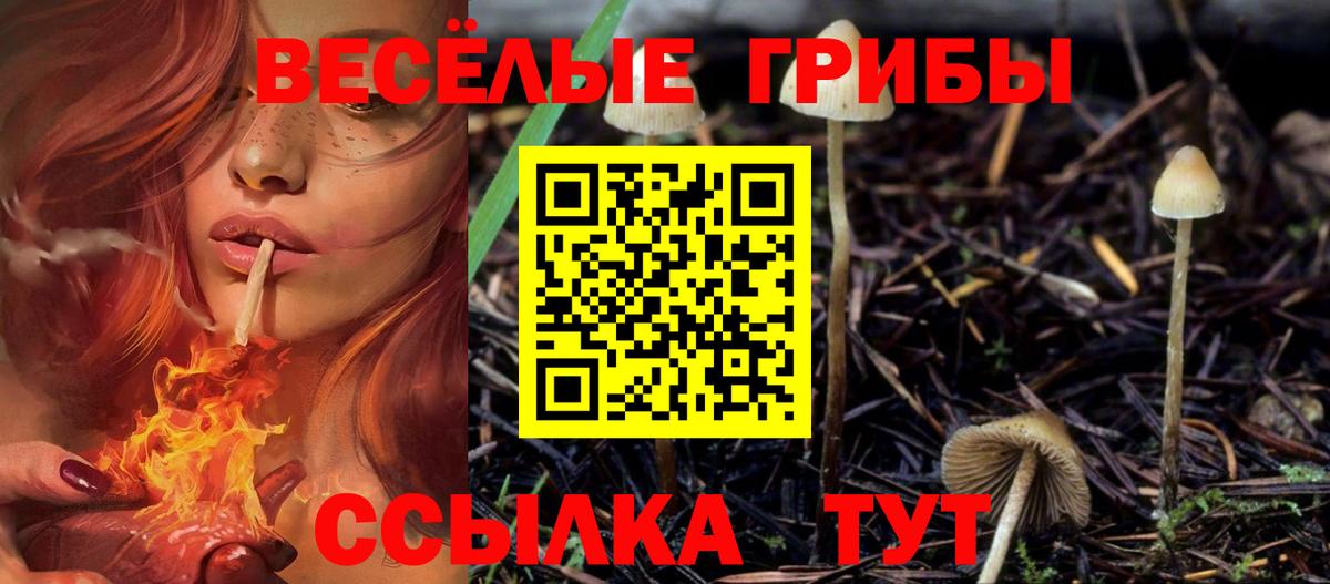 Псилоцибиновые грибы GOLDEN TEACHER Новочебоксарск