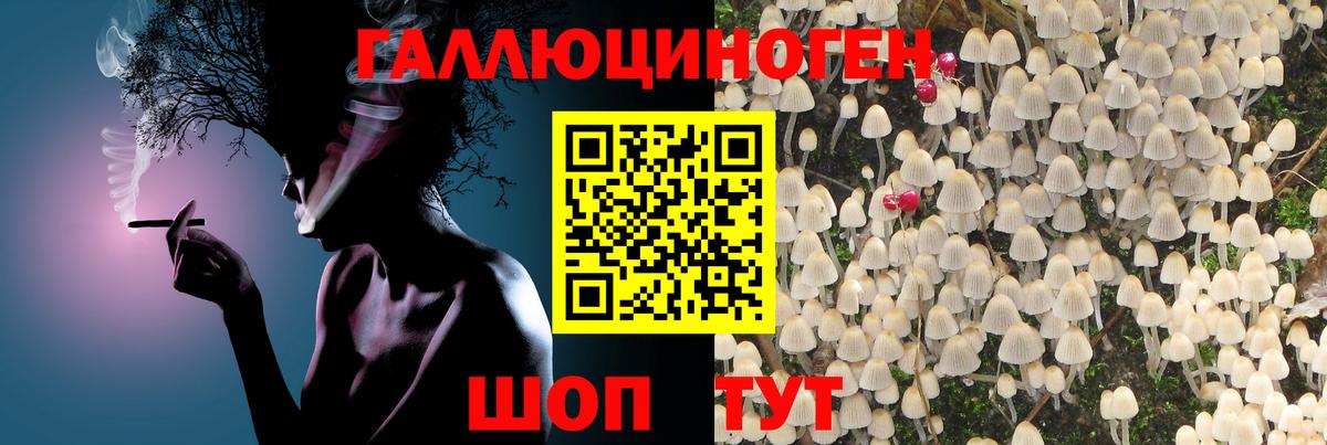 Псилоцибиновые грибы Psilocybine cubensis  Галлюциногенные грибы мухоморы  Вход с VPN  Новочебоксарск 